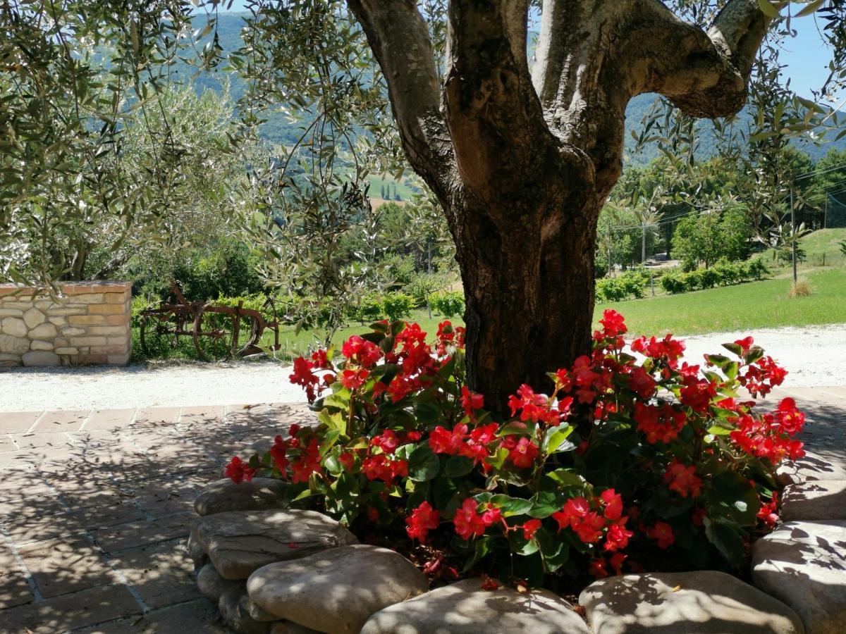 Agriturismo Sole Luna Piano Delle Pieve Exterior photo