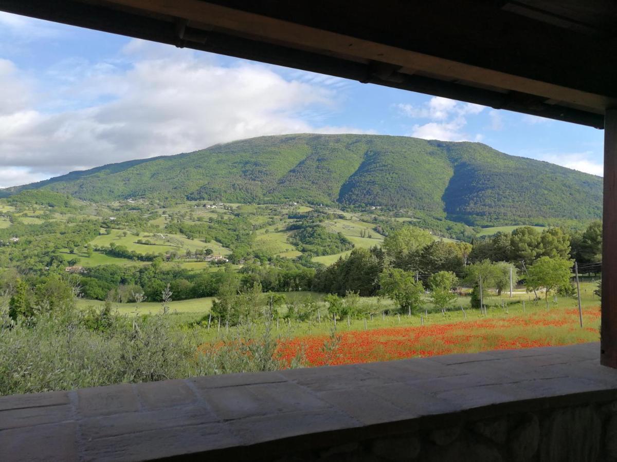 Agriturismo Sole Luna Piano Delle Pieve Exterior photo